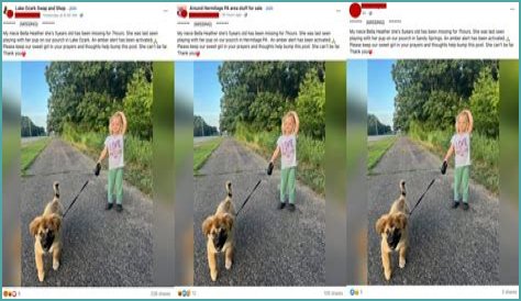 The Bella Heather Missing Scam Exposed!